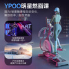 YPOO elliptical machine for home use high-end intelligent silent spacewalker elliptical machine fitness equipment E6 light luxury version/Italian mirror aesthetics/12 electric slope