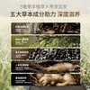 Shanghai Medicated Soap Shampoo Soap Shampoo Soap Arborvitae Leaf Gentian Ginseng (Sea Salt Fluffy + Shouwu Zaixin)