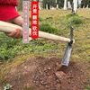 Mo Peng pickaxe integrated with manganese steel, professional bamboo shoot digging hoe, pickaxe, hoe, hand-forged foreign pickaxe, agricultural dual-purpose double-headed hoe A, one-piece forged without welding, large hoe ax + green wood long handle, self-produced, year-end impulse salary payment