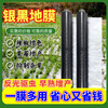 Silver and black two-color reflective silver gray mulch film for fruit trees, special for preventing long grass, black tape film for agricultural planting, thickening, 20 pounds of silver and black 2 wires, 1.5 meters wide and 280 meters long