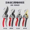 Green Forest Japanese SK5 steel fruit tree gardening pruning shears, special scissors for cutting branches, flower shears, floral branch scissors, professional style SK5 steel + waist box_maintenance oil_elastic