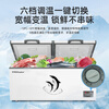 Royalstar Freezer Commercial Large Capacity Full Freezer Horizontal Freezer Home Refrigerator Freezer Dual-Temperature Commercial Large Freezer Freezer Display Cabinet High Cost-Effectiveness 788 Single Temperature Level One Energy Efficiency Mechanical Temperature Control