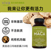 Viva Naturals US imported organic maca capsules men's energy fitness conditioning nourishing high concentration 500mg maca 250 capsules