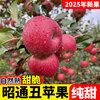 2025 Authentic Yunnan Zhaotong Rock Candy Heart-Chou Apple Fresh Fruit Apple Seasonal Crisp Sweet Fruit Origin Straight Hair 9 Jin Packed Large Fruit (80-90mm)