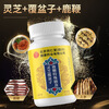 Beijing Tongrentang men's nourishing Ganoderma lucidum raspberry deer whip slices genuine 1 bottle trial pack