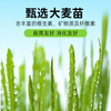 Weidangjia Probiotic Cat Grass Freeze-dried 500g Cat Snacks Teeth-Cleaning Hair Ball Tablets Cat Grass Tablets Teething Cat Snacks Chicken Granules