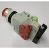 Hangzhou Sanli Renyu brand LAY37 (PBC) button switch P-E illuminated button green AC220V 1 normally open