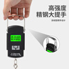 Padilin portable electronic scale spring scale hook scale express scale portable pull scale luggage mini hook scale