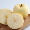Jingdida Shandong Cream Fuji Apple Selected 8 Jin Fruit King Single Fruit 85mm + Direct Shipping from Source