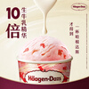 Haagen-Dazs classic strawberry flavor vat ice cream 473ml/tub ice cream