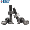Guwanji fastener screw nut steel pipe fastener screw nut scaffolding fixed fastener accessories T-bolt national standard round head M12x70mm total length 20 pieces