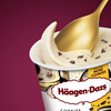 Haagen-Dazs classic cookie milk flavored ice cream 100ml/cup ice cream