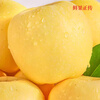 Jingdida Yantai Qixia apple cream Fuji apple 25 years new fruit 80 grade 5 pounds Yantai apple fruit straight from the source