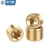 GUWANJI (GUWANJI) national standard brass hexagonal plug bulkhead metric British and American oil pipe plugging complete 1 point 2 points 3 points 4 points PT1/2=4 points (1 piece)