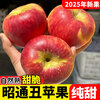 2025 Authentic Yunnan Zhaotong Rock Candy Heart-Chou Apple Fresh Fruit Apple Seasonal Crisp Sweet Fruit Origin Straight Hair 9 Jin Packed Large Fruit (80-90mm)