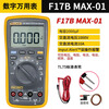 FLUKE digital multimeter F15B+/F17B+/F18B+/12E+/F107/F101 high-precision electrician special burn-proof F17B MAX-01 (standard test leads) + 2-year warranty