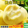 Marshal Huang Apple, Yellow Banana, Apple Powder, Glutinous and Sweet, Freshly Picked Fruit for Baby and the Elderly, 9 Jin Pack, 4.5-5 Jin Pack, 85mm-90mm