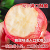 Crisp and sweet red Fuji apples, Shandong Yantai Qixia ugly apples, fresh fruit, whole box, 9-10 catties in box, sweet and medium-sized fruit