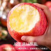 Crisp and sweet red Fuji apples, Shandong Yantai Qixia ugly apples, fresh fruit, whole box, 9-10 catties in box, sweet and medium-sized fruit