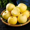 Beijing Fresh Shandong Cream Fuji Apple, net weight 8 pounds, single fruit 85-90mm, fresh fruit, direct shipping from the source, free shipping