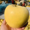 Jingdida Shandong Yantai Golden Venus Apple, 4.5 catties net, single fruit 70-75mm, direct shipping from source, free shipping