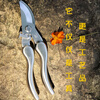 JCZS Japanese brand special scissors for cutting branches, pruning shears, stainless steel gardening flowers, grapes, fruit trees, fruit picking plant shears, silver pruning shears (curved mouth)