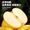 Uncle Sam Venus Apples, next-day delivery to multiple locations, golden apples, crispy and sweet, fresh new year gift box, fruit gift box, 5A quality fruit | single fruit 65-70mm, 10kg package, great deal - sharing package, net 8.5kg