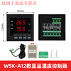 Temperature and humidity controller intelligent digital display anti-condensation temperature controller high voltage distribution cabinet dehumidification button type WSK-A12