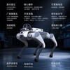 Miss Dolphin Cloud Deep Technology Lite3 Education and Research Intelligent Quadruped Robot Scenic Area Guide Machine Electronic Dog Mechanical Dog Electronic Pet Dog Automatically Follows Remote Control Robot Dog Discovery Edition