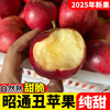 2025 Authentic Yunnan Zhaotong Rock Candy Heart-Chou Apple Fresh Fruit Apple Seasonal Crisp Sweet Fruit Origin Straight Hair 9 Jin Packed Large Fruit (80-90mm)