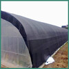 Yiying sunshade net black sunscreen net winter cold protection net thickened encryption insulation net 10 pins 1x50m