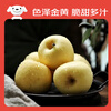 Jingxiansheng Shandong Yantai Huang Yuanshuai apples are sour and sweet. Net weight is 3 pounds. Single fruit is 75-80mm. Direct shipping from the source. Free shipping.