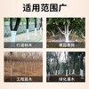 Whitening agent for large trees to prevent freezing and insecticide, sterilization and disinfection for large trees in landscaping. Special whitening powder for large trees to prevent freezing and insecticide. Luzhi Super White Liquid 20kg/1 ton (50/barrel)