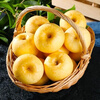 Jingdida Shandong Yantai Golden Venus Apple, 4.5 catties net, single fruit 70-75mm, direct shipping from source, free shipping