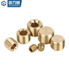 GUWANJI (GUWANJI) national standard brass hexagonal plug bulkhead metric British and American oil pipe plugging complete 1 point 2 points 3 points 4 points PT1/2=4 points (1 piece)