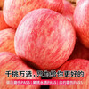 Crisp and sweet red Fuji apples, Shandong Yantai Qixia ugly apples, fresh fruit, whole box, 9-10 catties in box, sweet and medium-sized fruit