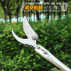 Jinge feather locust flower shears, high branch shears, pruning shears, stainless steel pruning, garden thinning flowers and thin fruit pruning, locust rice extension pole, high-altitude shears, pruning saw, 2.3 meters extension, 4 meters + saw blade gift