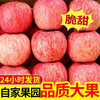 Crisp and sweet red Fuji apples, Shandong Yantai Qixia ugly apples, fresh fruit, whole box, 9-10 catties in box, sweet and medium-sized fruit