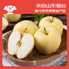 Jingxiansheng Shandong Yantai Huang Yuanshuai apples are sour and sweet. Net weight is 3 pounds. Single fruit is 75-80mm. Direct shipping from the source. Free shipping.