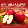 Oriental Selection Huaniu Apple Crispy Noodles Sweet Fresh Seasonal Fruit Bad Fruit Package Compensation SF Express 3/5 Jin New Year Goods 5 Jin Large Fruit 1 Box Packed Single Fruit 220+ (7-11 pieces/box available)