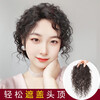 Wig for women to increase the amount of hair on the top of the head, naturally invisible, cover gray hair, fluffy high skull, light and thin real hair curly hair replacement MONO8*11 curly T, eight-character style mocha brown