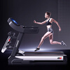 Lijiujia treadmill folding large gym special sports treadmill adult home 15.6 color screen Ultra丨WIFI audio and video entertainment