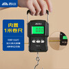 Xiangshan Portable Scale Electronic Scale Portable Scale Gram Scale Weighing Vegetables Express Crane Scale High-Precision Luggage Scale 75kg