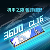 Ddr48G16GX23600C16 desktop memory vest set Hynix CJR particles 16G8G*2C16 Hynix CJR e-sports connection 3600MHz