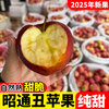 2025 Authentic Yunnan Zhaotong Rock Candy Heart-Chou Apple Fresh Fruit Apple Seasonal Crisp Sweet Fruit Origin Straight Hair 9 Jin Packed Large Fruit (80-90mm)