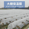 Transparent agricultural plastic film for growing vegetables, small shed film, mulching film, special film for greenhouse planting, plastic paper for heat preservation and cold protection, 4S special film for small shed, 2 meters wide and 3 meters long