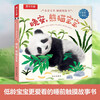 15 off for purchases over 74, Kiss Baby Touch Board Book - Good Night, Baby Panda, clickable reading, 1-4 years old, Chinese and English bilingual, baby language enlightenment picture book, bedtime story book, fun children's book