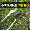Jinge feather locust flower shears, high branch shears, pruning shears, stainless steel pruning, garden thinning flowers and thin fruit pruning, locust rice extension pole, high-altitude shears, pruning saw, 2.3 meters extension, 4 meters + saw blade gift