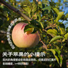 Territory Caihong Authentic Shaanxi Red Fuji Apple Fruit Seasonal Crisp Sweet Ugly Apple Fresh Pregnancy Fruit Whole Box Selected 14-16 Pieces Tasting Pack Naturally Ripe Small Fruit Crisp, Sweet and Juicy