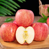 Jingdida Apple Yantai Apple Red Fuji Apple Fresh Fruit New Year Gift 8.5 Jin Single Fruit 80mm+ Straight from the Source